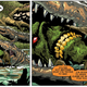Illustration for article titled Rousing superhero action meets political intrigue in iAquaman /i#31